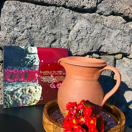 Semesterbostad Adega Da Prainha Prainha (Sao Roque do Pico)